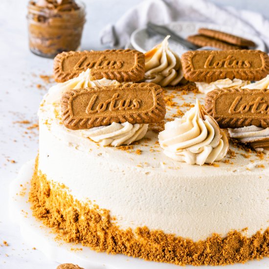 Vegan Marble Biscoff Cake