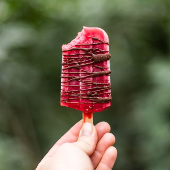 Raspberry Popsicles with Chocolate