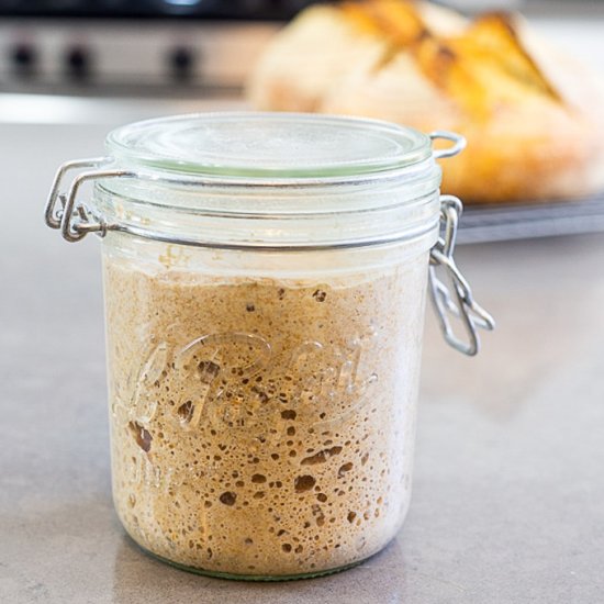 Homemade Sourdough Starter