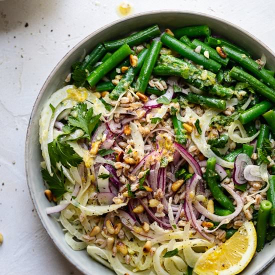 Green Bean Fennel Farro Salad