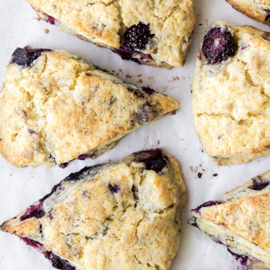 blackberry cornmeal scones