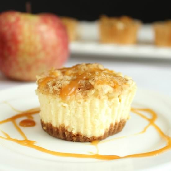 Caramel Apple Cheesecake Cupcakes