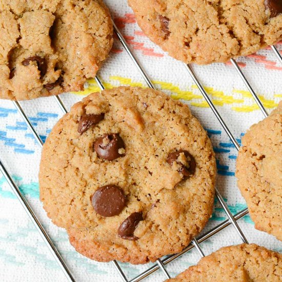 Chocolate Chip Sunbutter Cookies