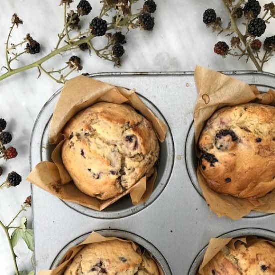 Blackberry Muffins