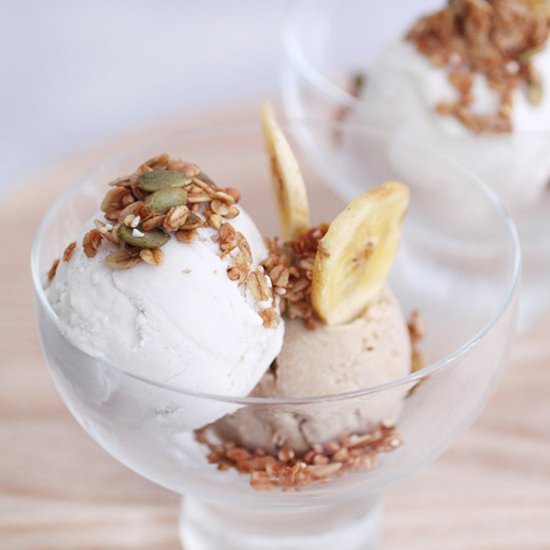 Vegan Coconut Ice Cream