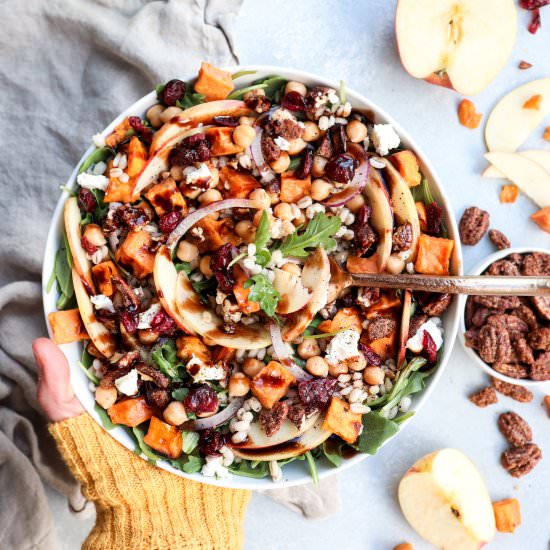 fall harvest barley bowl