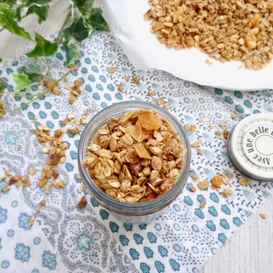 Ginger tropical amazake granola