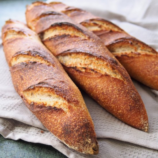 Sourdough Baguette