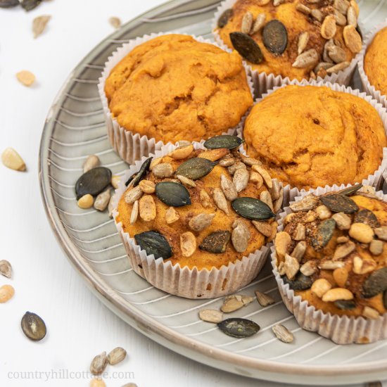 Healthy Vegan Pumpkin Muffins GF