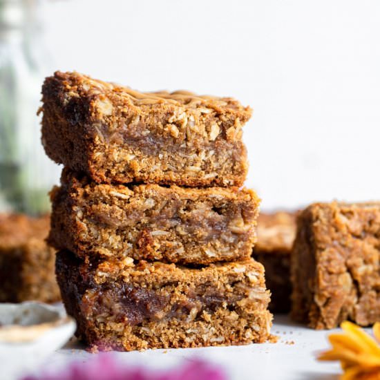 PB& J Oatmeal Breakfast Bars