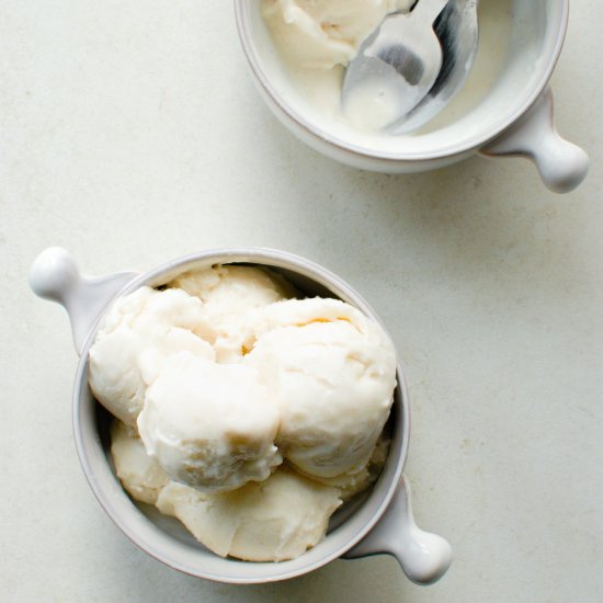 Vegan Vanilla Bean Ice Cream