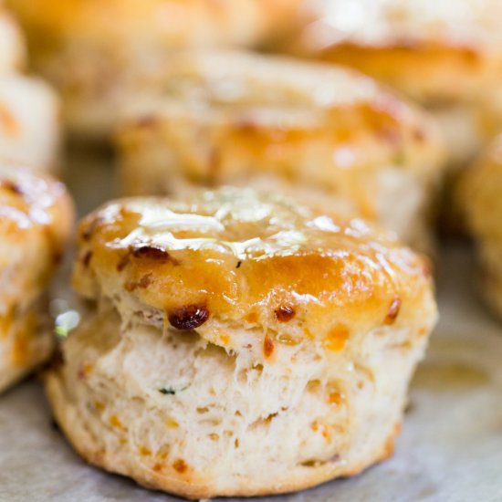 Maple Bacon Cheddar Biscuits