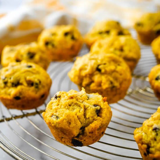 Mini Pumpkin Chocolate Chip Muffins