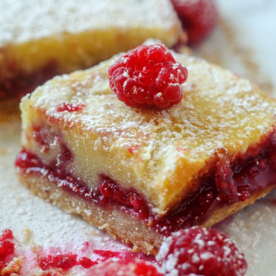 Gooey Raspberry Custard Bars