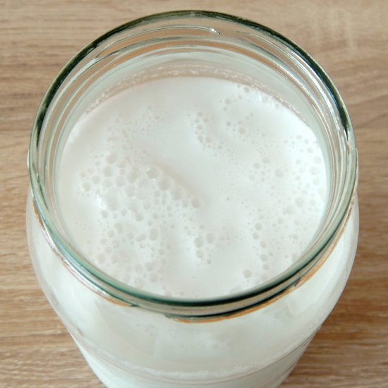 Homemade coconut milk