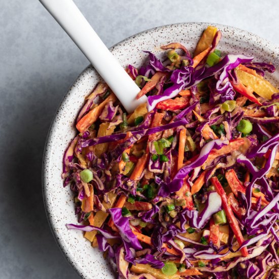 Raw Rainbow Vegan Coleslaw