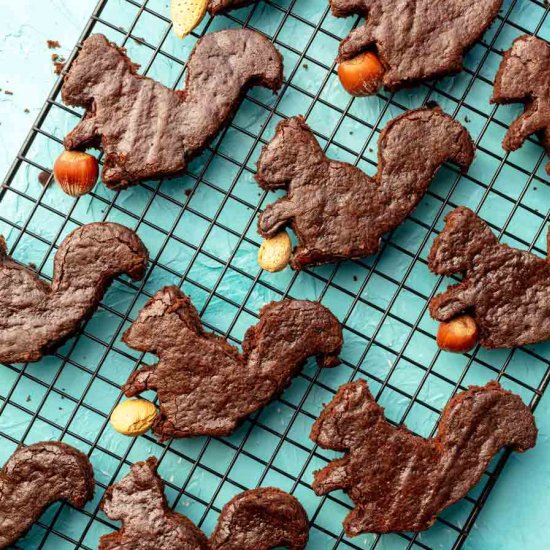 Easy Vegan Squirrel Brownies