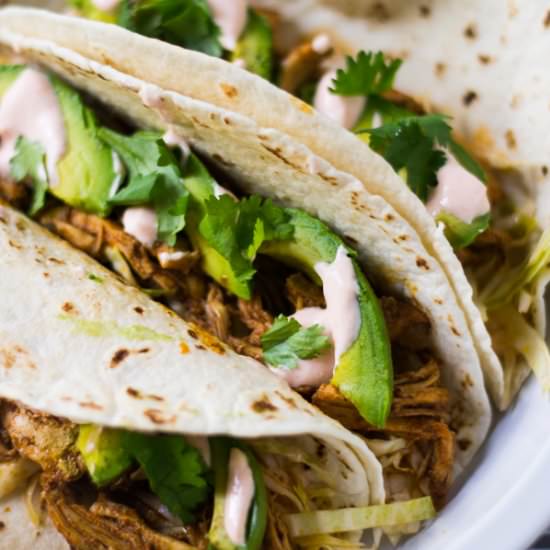 Shredded Chicken Tacos