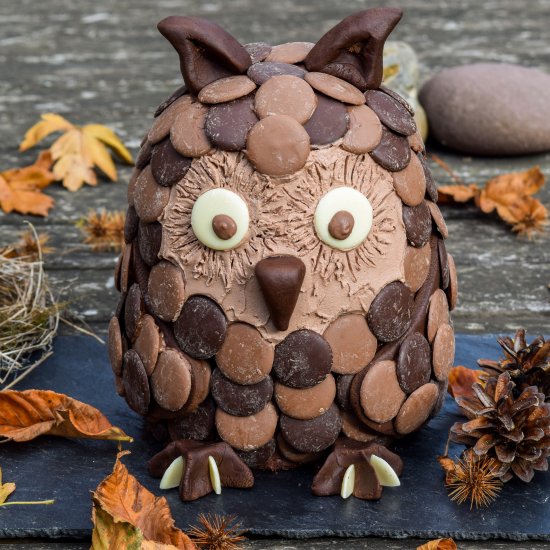 Chocolate Orange Halloween Owl Cake