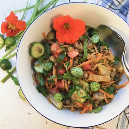 Fresh garden lentil salad