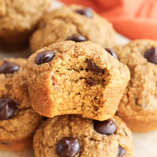 Pumpkin Chocolate Chip Oat Muffins