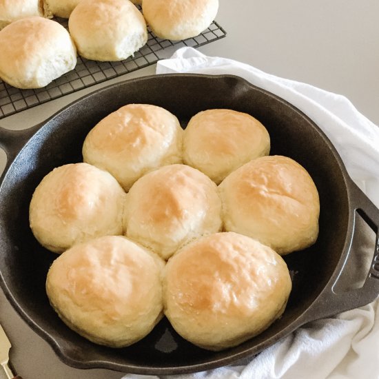 Soft + Fluffy Dinner Rolls