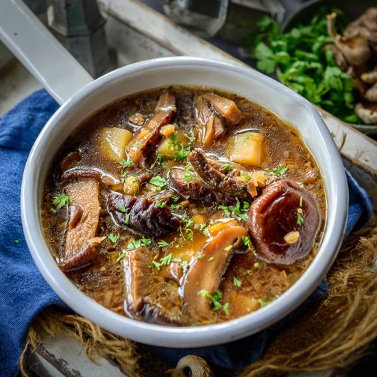 Russian Dry Mushroom Soup