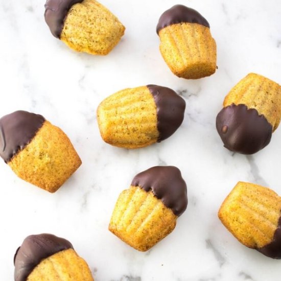 Chocolate Dipped Madeleines