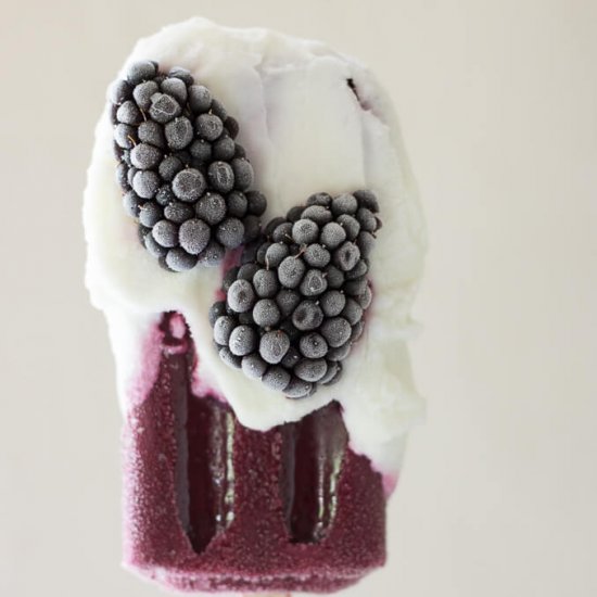 Yogurt-Dipped Fresh Blackberry Fruit