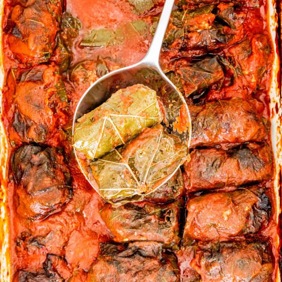 Stuffed Grape Leaves