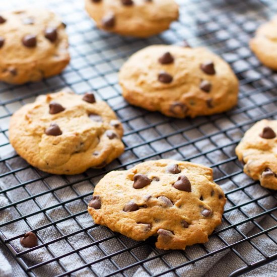 Pumpkin Chocolate Chip Cookies