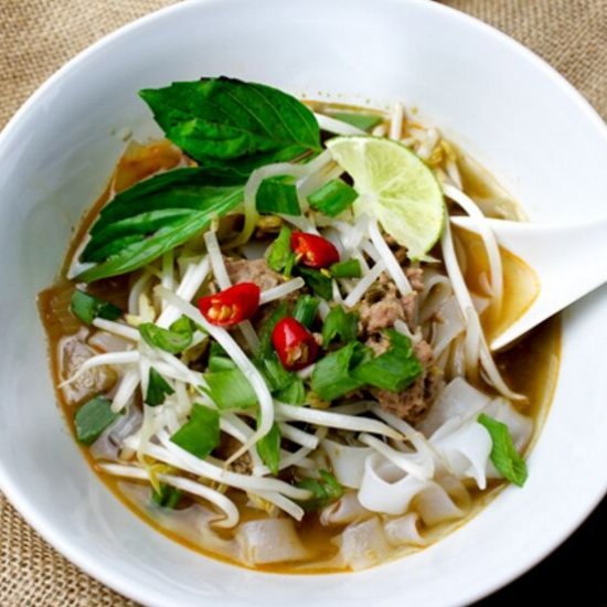 Easy Vietnamese Pho Ga