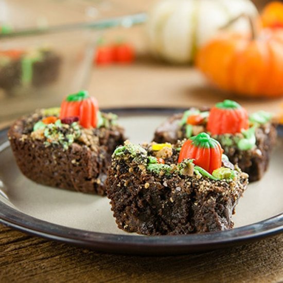 Pumpkin Patch Brownies