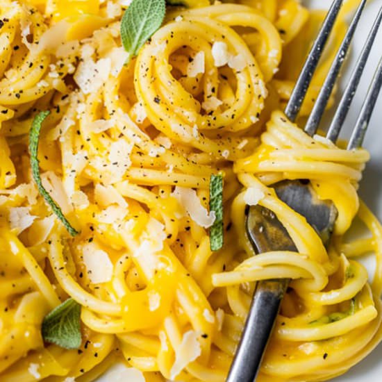 Pasta Butternut Leek Parmesan Sauce