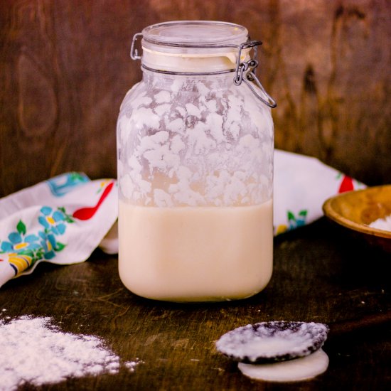 Potato Flake Sourdough Starter