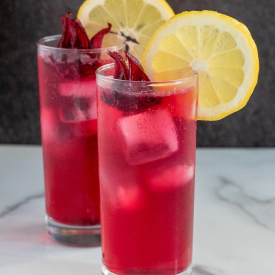 Hibiscus Gin and Tonic