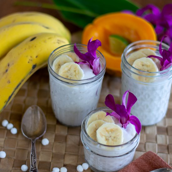 Easy Coconut Milk Tapioca Dessert