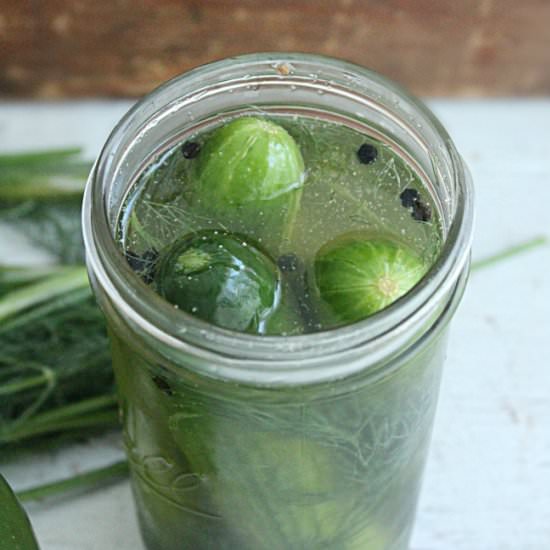 Refrigerator Dill Pickles