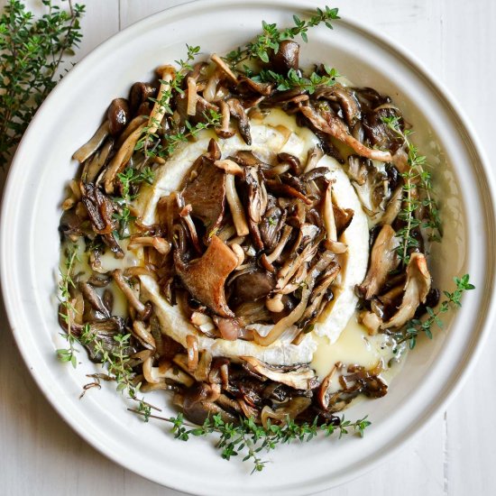 Mushroom and Hazelnut Baked Brie