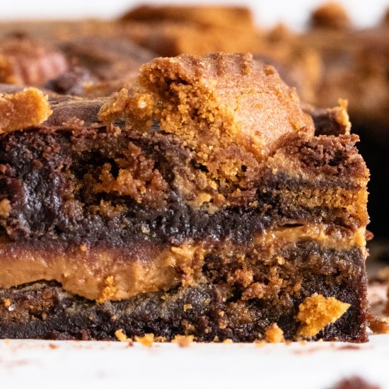 Fudgy Biscoff Brownies