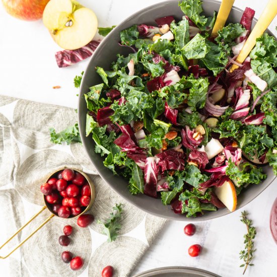 Kale Salad with Cranberry Vinaigrette