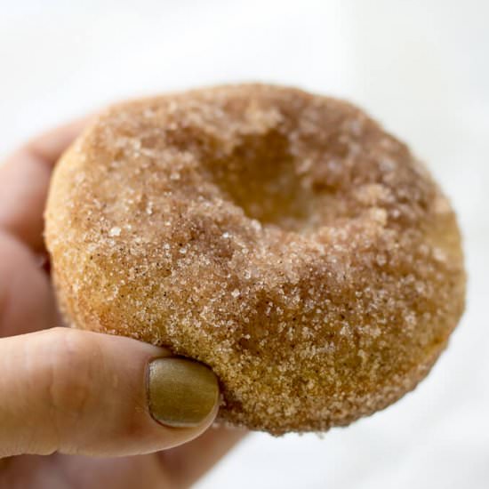 Cinnamon Sugar Baked Donuts