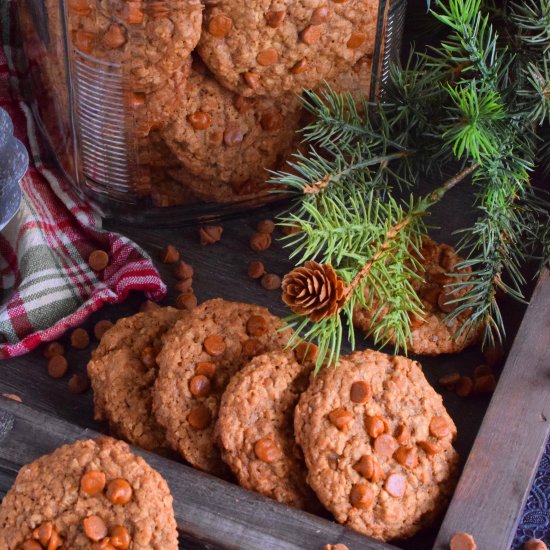 Oatmeal Cinnamon Chip Cookies