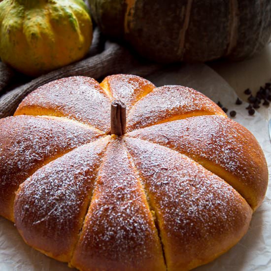 Pumpkin Chocolate Chip Bread