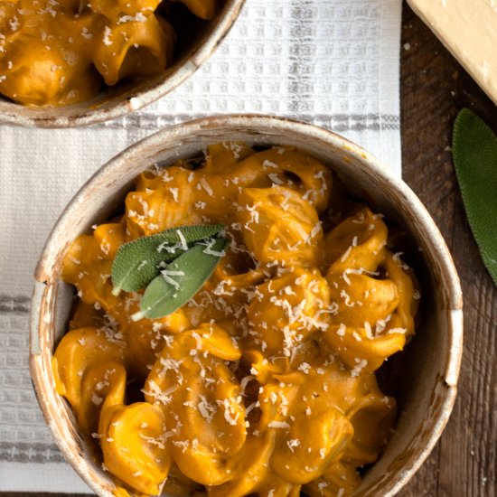 Creamy butternut squash pasta shell