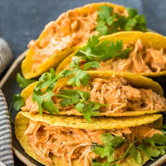 Slow cooker Salsa Chicken!