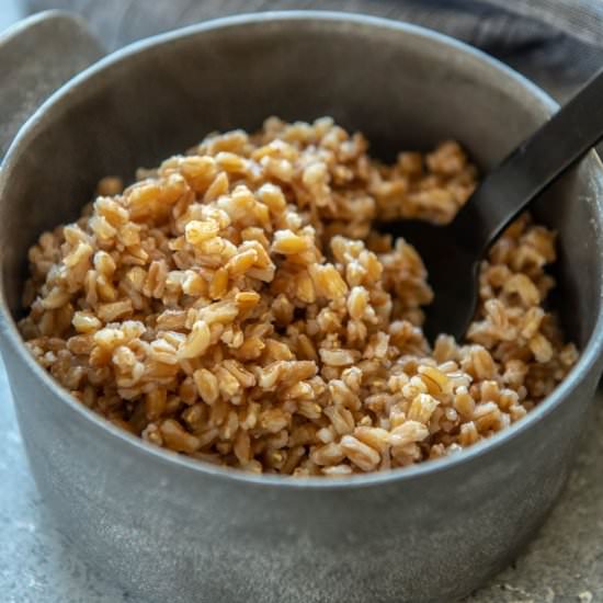 Instant Pot Farro