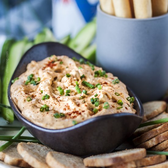 Cheddar Pub Style Cheese Dip