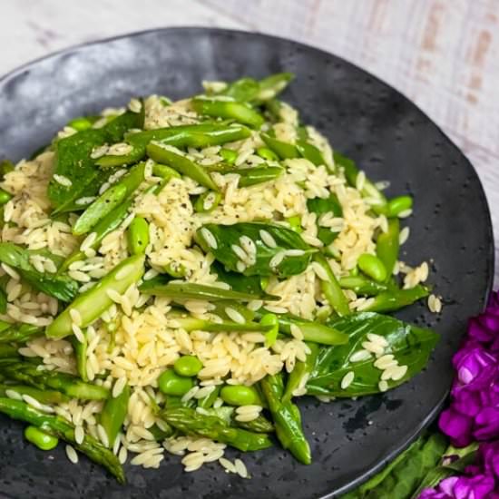 Risoni, Asparagus and Edamame Salad