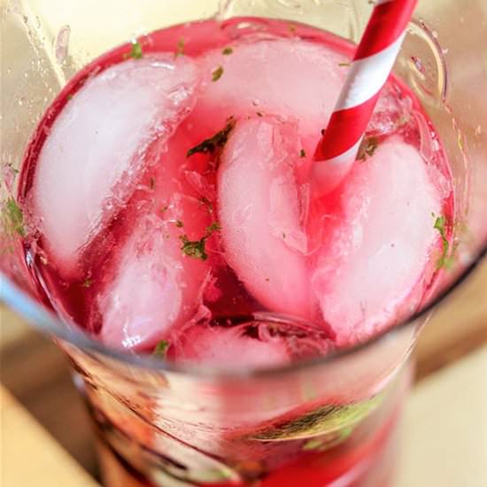 Low Carb Cranberry Mojitos